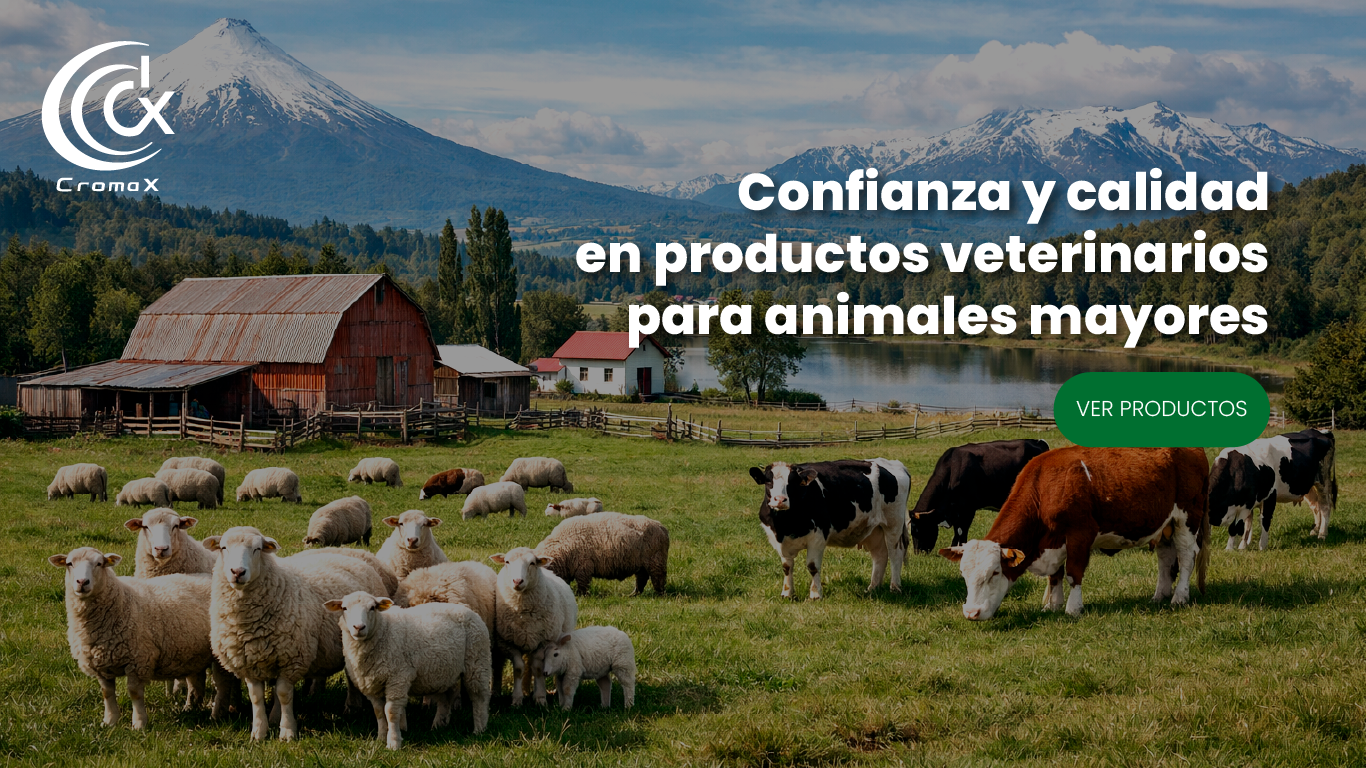 Confianza y calidad en productos veterinarios para animales mayores
