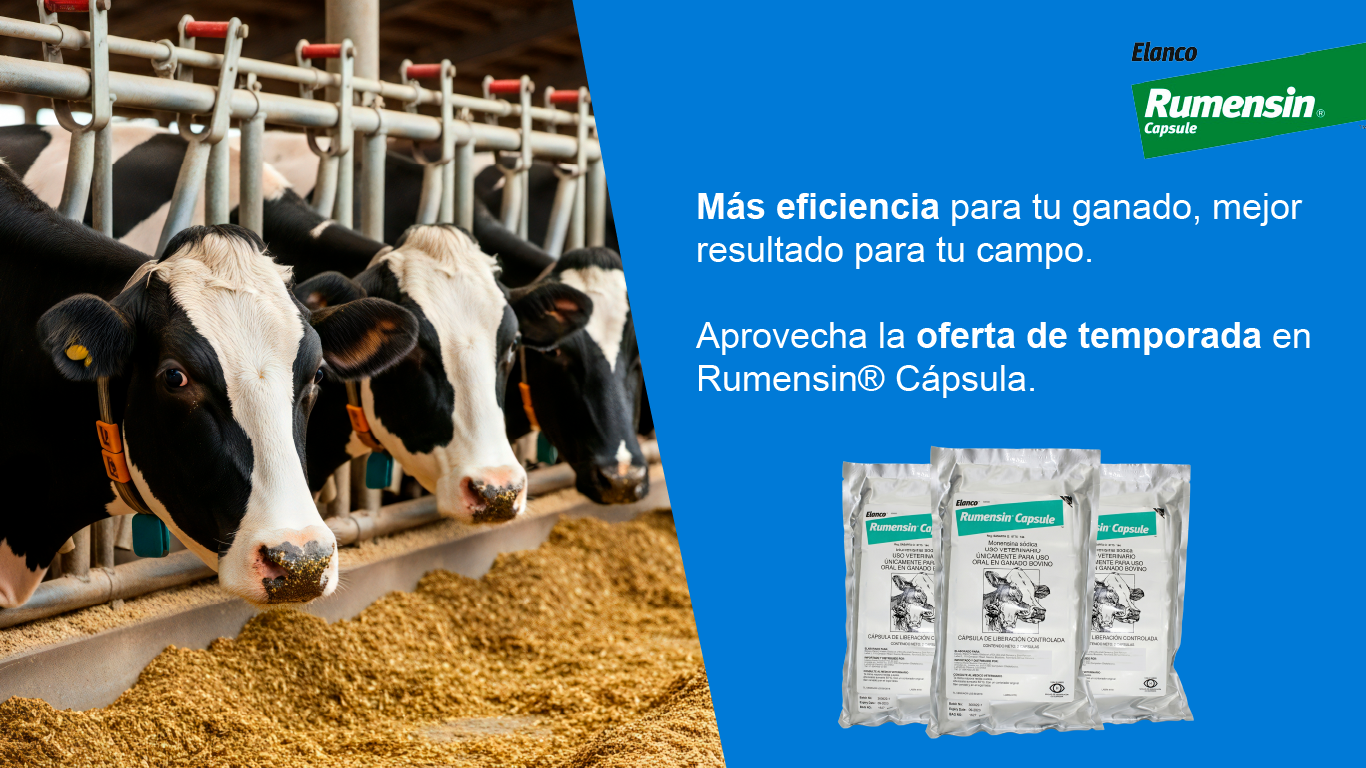 Rumesin Capsula oferta de temporada